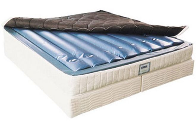 Hasena Factory Line Dallas 23 Jeno Coria Gelbed