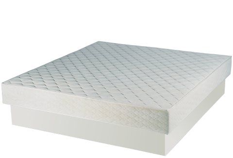 Dual Water Mattress